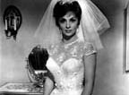 Gina Lollobrigida Wallpaper 2